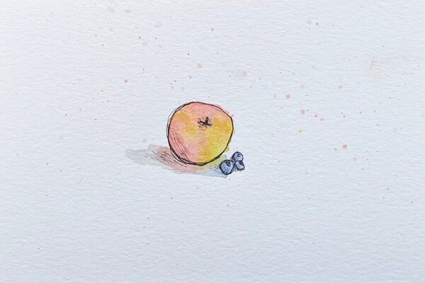 postcards of sketches of an onion and a lemon